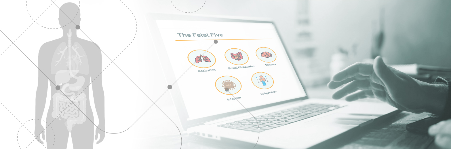 Fatal five elearn training IDD